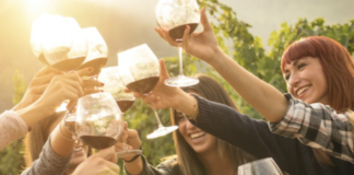 Vino, Lega: euro-caos su etichettatura, chiesto intervento urgente ministro Lollobrigida. Mara Bizzotto prima firmataria Vino e brindisi