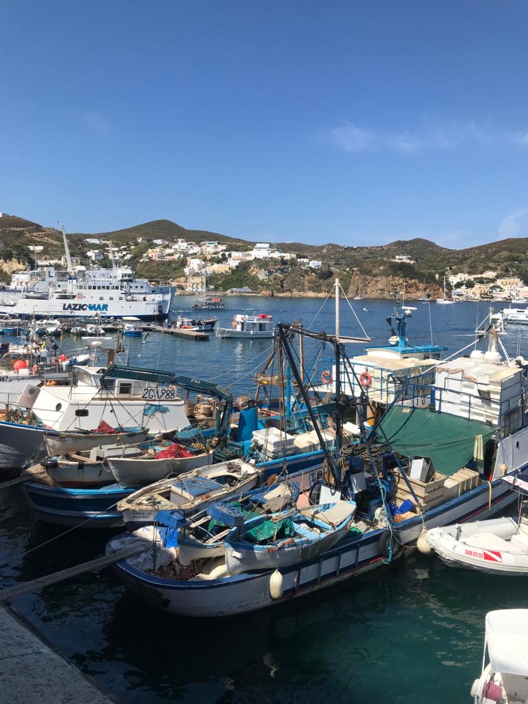 Vista sulle barche ormeggiate nel porto di Ponza (foto di Luigi Jodice per ViPiù)