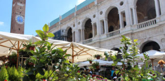 “Fiori, colori e…”, la mostra mercato del florovivaismo ritorna in piazza dei Signori