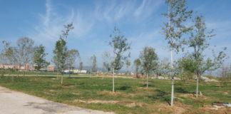 Confermata la domenica ecologica del 19 settembre dedicata a “I parchi della città” di Vicenza