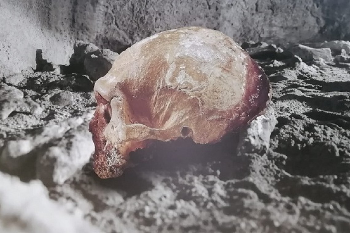 Il cranio neanderthal ritrovato nella Grotta Guattari