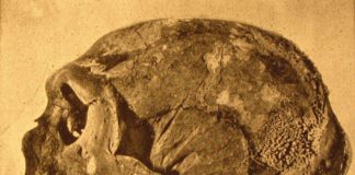 Grotta Guattari: le nuove evidenze scartano l’ipotesi dei Neanderthal cannibali Il Circeo dei Neanderthal