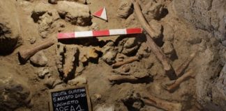 Quando i Neanderthal abitavano le grotte di San Felice Circeo: la Riviera di Ulisse gioca un ruolo fondamentale nel capire la loro eredità I Neanderthal di San Felice Circeo