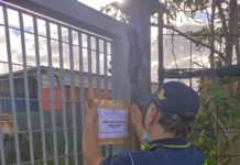 GdF Venezia: sequestrato deposito di droga a Padova. Arrestato un responsabile GdF Venezia