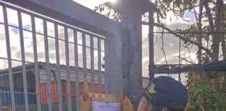 GdF Venezia: sequestrato deposito di droga a Padova. Arrestato un responsabile GdF Venezia