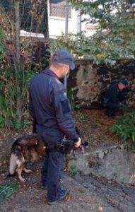 Carabinieri di Valdagno in azione per la ricerca degli spacciatori