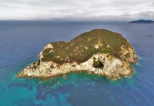 Le isole pontine delle lucertole e dei gabbiani, Gavi e Zannone. Anche questa incontaminata se non… dai delitti dei marchesi Casati Stampa Gavi e Zannone