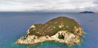 Le isole pontine delle lucertole e dei gabbiani, Gavi e Zannone. Anche questa incontaminata se non… dai delitti dei marchesi Casati Stampa Gavi e Zannone