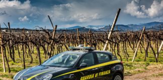 Cena con spettacolo sui Colli Berici, ma irregolare. GdF Vicenza: contestate sanzioni fino a un massimo di circa 30mila euro GdF contro il lavoro in nero