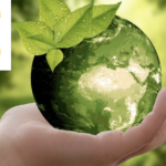 “Il costo della transizione ecologica”: al via domani la rubrica che cerca di spiegare il costo della transizione ecologica Il costo della transizione ecologic