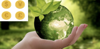 “Il costo della transizione ecologica”: al via domani la rubrica che cerca di spiegare il costo della transizione ecologica Il costo della transizione ecologic