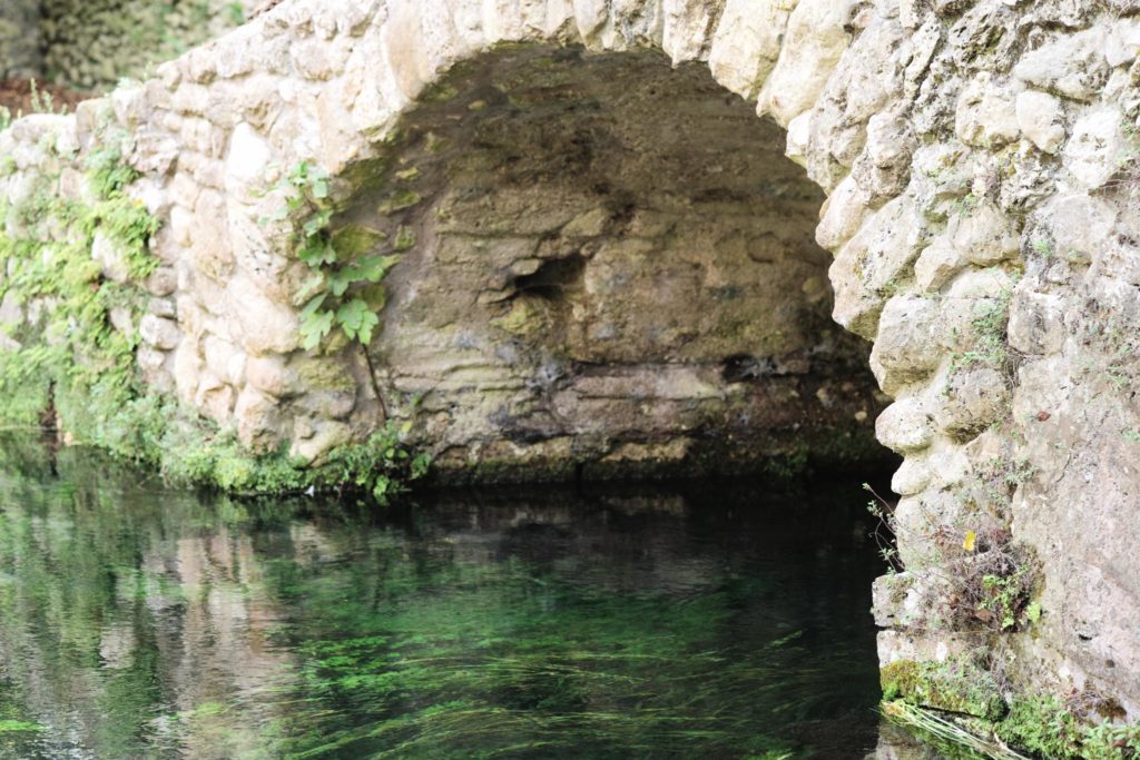 Il giardino di Ninfa, un particolare (foto di Luigi Jodice per ViPiu.it)