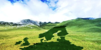 “Il costo della transizione ecologica”: qual è quello per ridurre le emissioni di anidride carbonica? Un esempio che arriva dalla pandemia La transizione ecologica parte dall'Europa