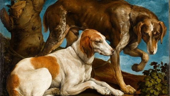 Mostra La fabbrica del Rinascimento, Jacopo Bassano, Ritratto di due cani