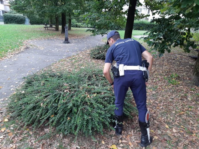 Polizia locale nordest vicentino all'opera contro spacciatori