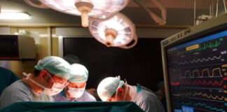 Reni di maiale impiantati in uomo, mix farmaci noti può evitare rigetto