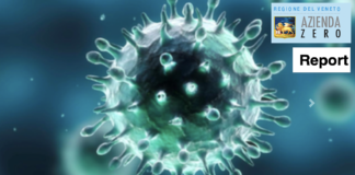 Covid Veneto e province 16 gennaio: 13.094 casi, 95.330 tamponi, positivi 13.74%, 175 in intensiva, decessi 19 (+4). Vaccinati con 1 dose 80.9% Report Covid Veneto Azienda Zero