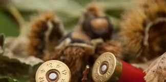 Fondi per la Caccia in Veneto approvati dalla Regione Stop al piombo nelle cartucce da caccia fondi per la veneto