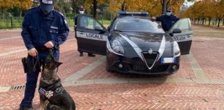 Pusher a Vicenza, Polizia locale col cane Aria ne arresta uno a Campo Marzo continuando la lotta agli effetti devastanti della droga Cane Aria supporta Polizia locale di Vicenza a Campo Marzo nella caccia ai pusher