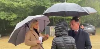 Individuata l’area per l’oasi felina di fronte al canile di via Mantovani a Vicenza