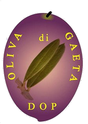 Oliva di Gaeta DOP.