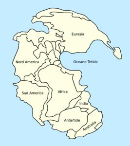 Pangea