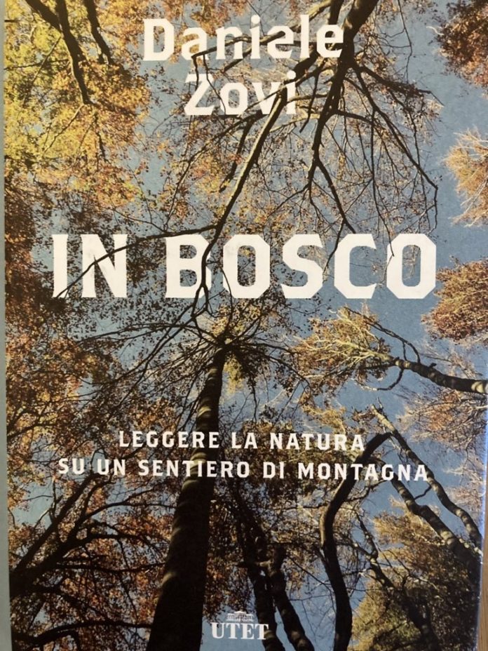 In bosco di Daniele Zovi