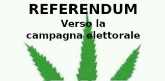 Referendum cannabis, Aduc: verso la campagna elettorale Cannabis, il referendum sulla sua legalizzazione