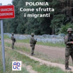 Stati Uniti d’Europa, Primo Mastrantoni (Aduc): ecco come la Polonia sfrutta i migranti