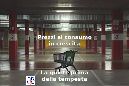 Prezzi al consumo, Aduc