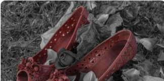 Reddito di Libertà, Walter Mauriello (Meritocrazia Italia): servono misure preventive e di inclusione, non palliativi Reddito di libertà e violenza sulle donne