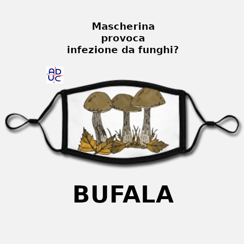 Informazioni bufala