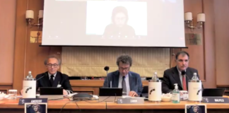 “Come migliorare la presa in carico della persona con epilessia? Esperti, clinici e decisori della sanità italiana a confronto” Epilessia, esperti a confronto