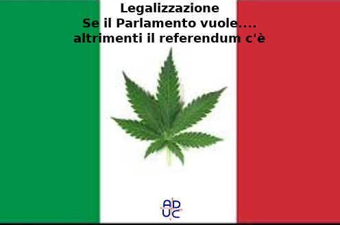 Legalizzazione cannabis
