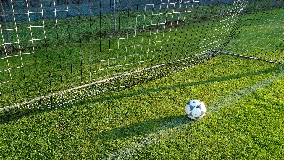 Calcio (foto di Piaxabay)