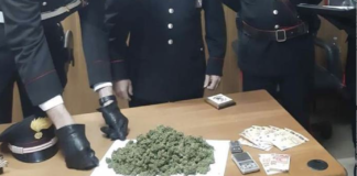 Detenzione ai fini di spaccio di sostanze stupefacenti, Carabinieri di Malo: arrestato in flagranza di reato 25enne di Isola Vicentina Carabinieri sequestrano marijuna e denaro (foto d'archivio)