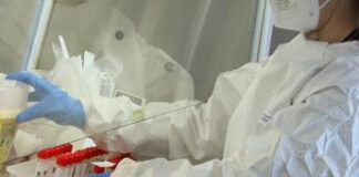 Covid, variante KP.3 corre veloce: cosa sappiamo, sintomi