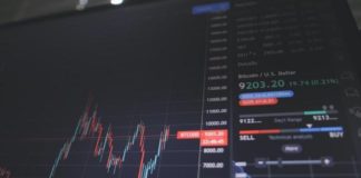 Come cambia nel tempo l’approccio alla scelta delle criptovalute Il successo delle criptovalute