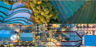 “Il costo della transizione ecologica”. Il metano, tra riscaldamento globale e decisioni alla Cop26 Le emissioni di metano arrivano principalmente dall'agricoltura e dall'allevamento