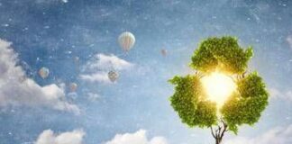 Trentino Alto Adige, Marche e Toscana regine della transizione ecologica