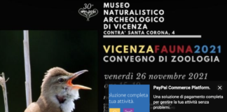 “Vicenzafauna2021”, convegno di zoologia al Museo Naturalistico Archeologico di Vicenza Vicenzafauna2021