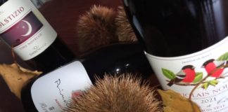 Le peculiarità del vino novello. “Wine Specialists Journal”: un vino “facile”, fresco per abbinamenti stagionali e non solo Vino novello