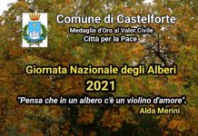 Giornata Nazionale degli Alberi a Castelforte