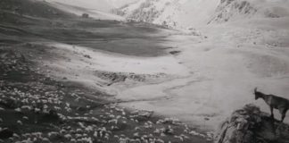 Prorogata a Vicenza la mostra “Con la loro partenza nacque il sogno di un ritorno”