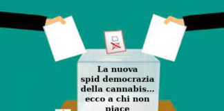La nuova spid democrazia della cannabis, Aduc: ecco a chi non piace Cannabis, la nuova spid democrazia