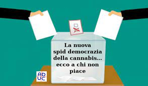 Cannabis, la nuova spid democrazia