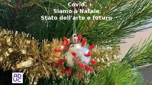 Covid, lo stato dell'arte