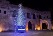 Sorgente Group augura Buon Natale a Roma con un luminoso albero a Largo Fellini Albero di Natale 2021 - Sorgente Group
