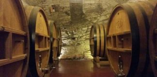 La Puglia tra turisti e produttori nazionali. “Wine Specialists Journal”: alla scoperta di bellezze naturali e prodotti enogastronomici autoctoni Bottaia di Torrevento, Foto: Gianluca Tesse