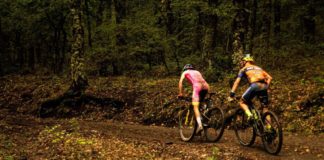 Fuoristrada “forestale”, Formaggio (FDI Veneto): “divieto di transito anche alle biciclette un colpo mortale all’economia” Ciclisti fuoristrada